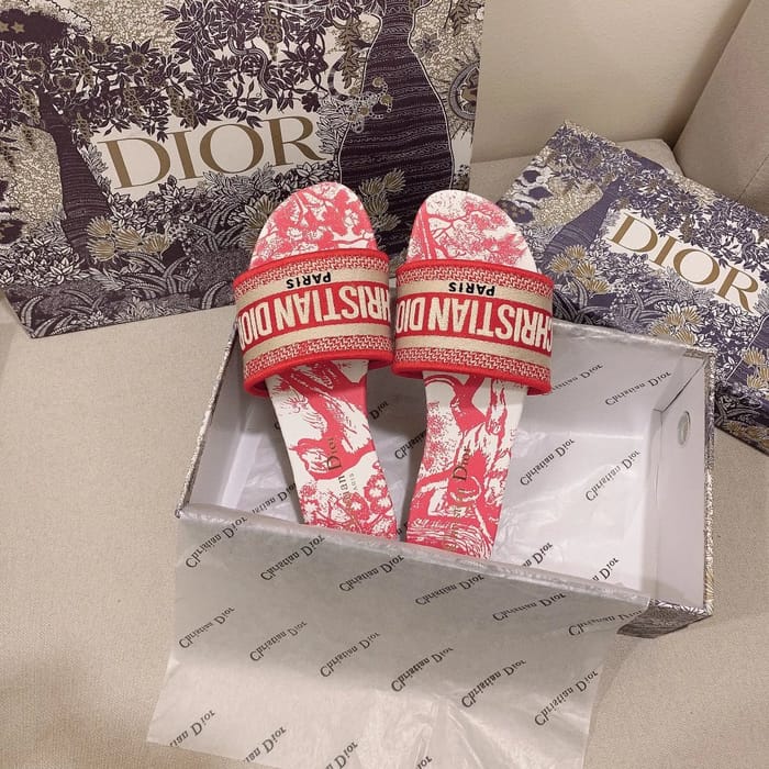 Christian Dior Paris Printed Slide Sandals